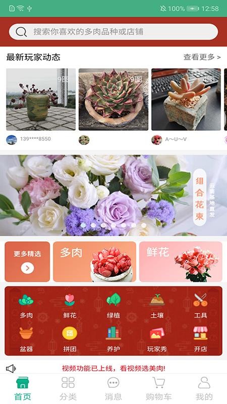 吾花肉v1.4.0