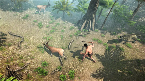 荒岛海滩幸存者v1.33