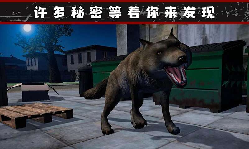 我的流浪生涯v1.0.1