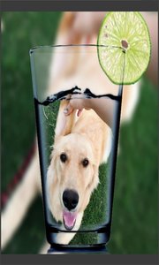 趣拍玩图照相机v8081.21.12.20