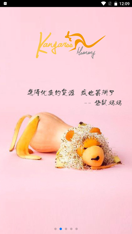 袋鼠妈妈v0.3.5