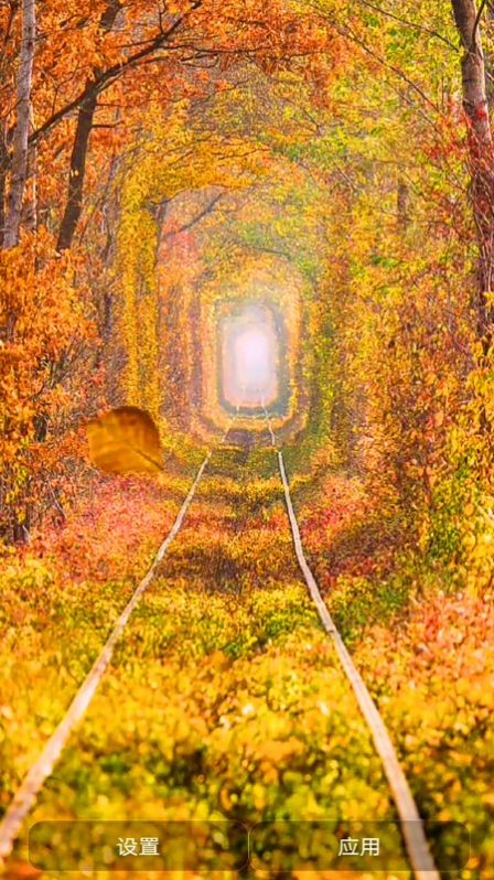 爱动态壁纸v1.0.0