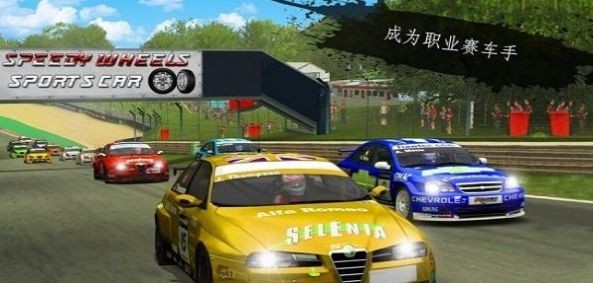 拉力赛狂怒v1.0.4