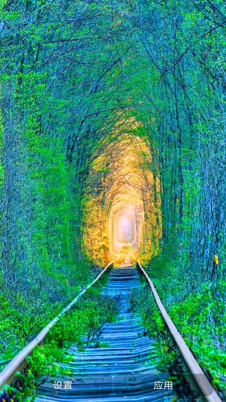 爱动态壁纸v1.0.0