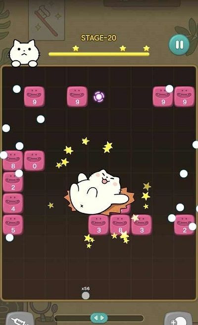 神秘的猫咪v0047