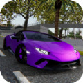 汽车驾驶模拟器v5.6.0