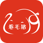 卷毛猪v1.3.9