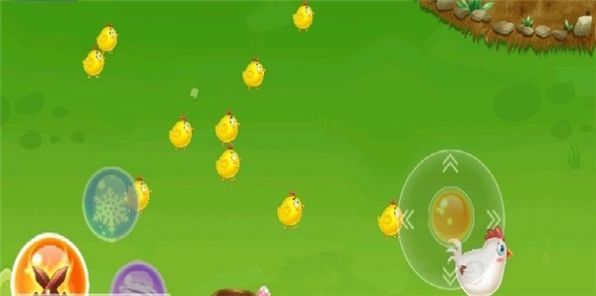 鸡场保卫战v1.0