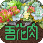 吾花肉v1.4.0