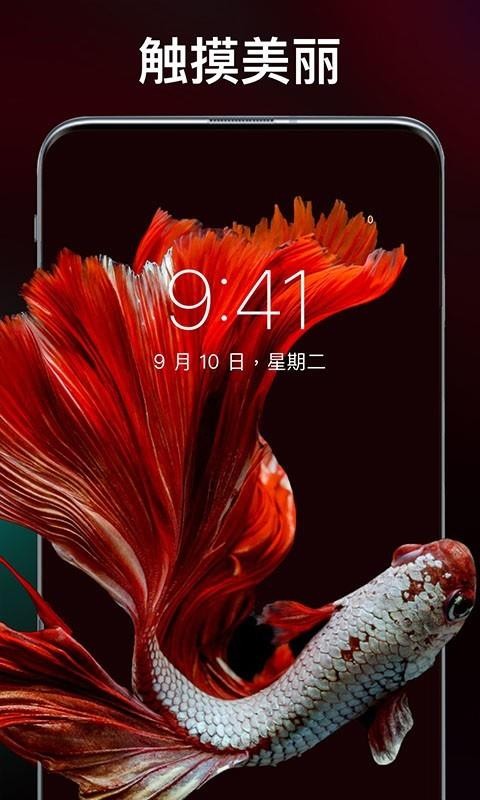 灵猫壁纸大全v1.0.0