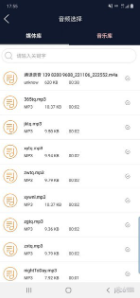 诺趣音频编辑v1.0