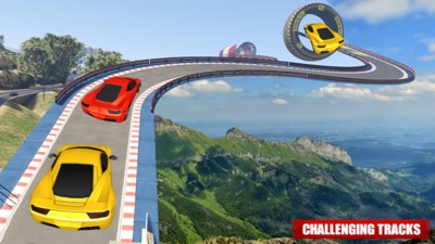 最不可能的赛车特技v1.0