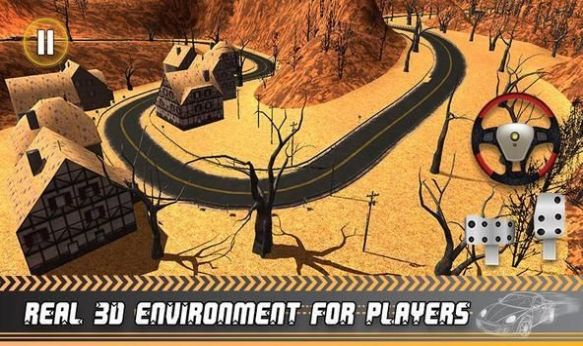 城市赛车手漂移3Dv1.3