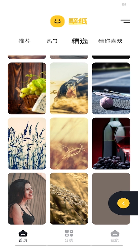 精选主题壁纸v1.1