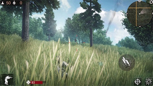 丛林中文免谷歌版v