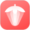 红莓听书v1.17.0