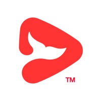 一起学网校v1.5.0.10013