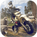 交叉摩托赛车v2.11.2