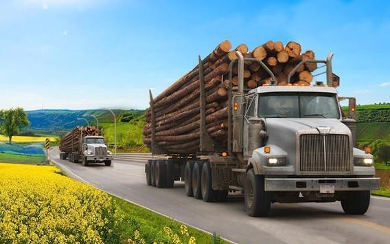 重型货车模拟器v1.2