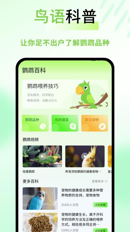 鹦鹉语言翻译器v1.0.4