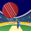 真正棒球手v1.4.1