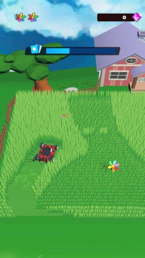 我家草坪出现了奇怪的图案v0.0.5