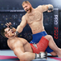 mma拳击格斗v1.05