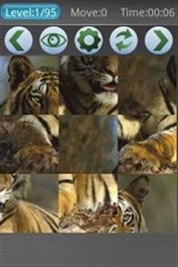 猛虎拼图v3.1