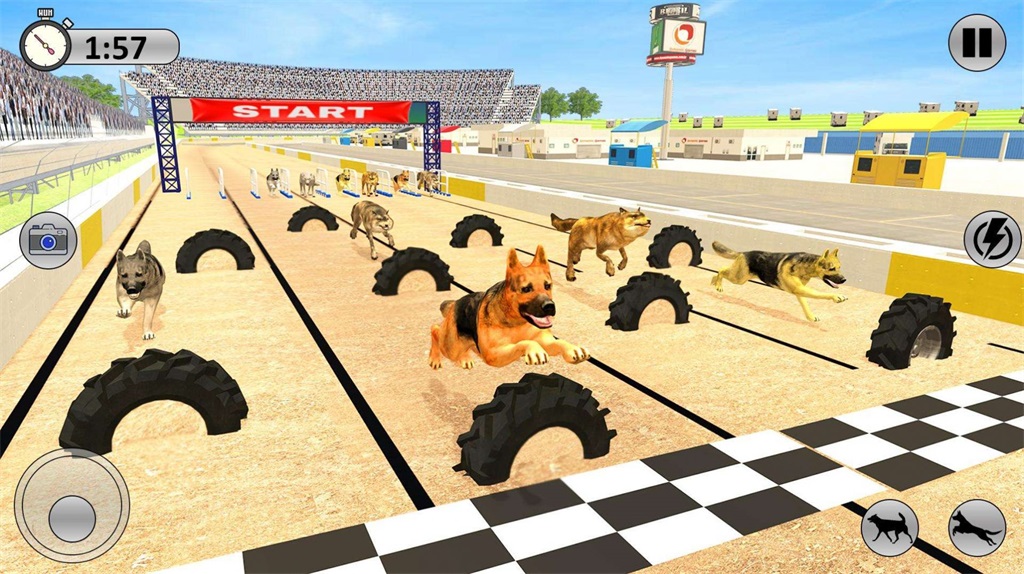 竞争对手赛狗v1.0