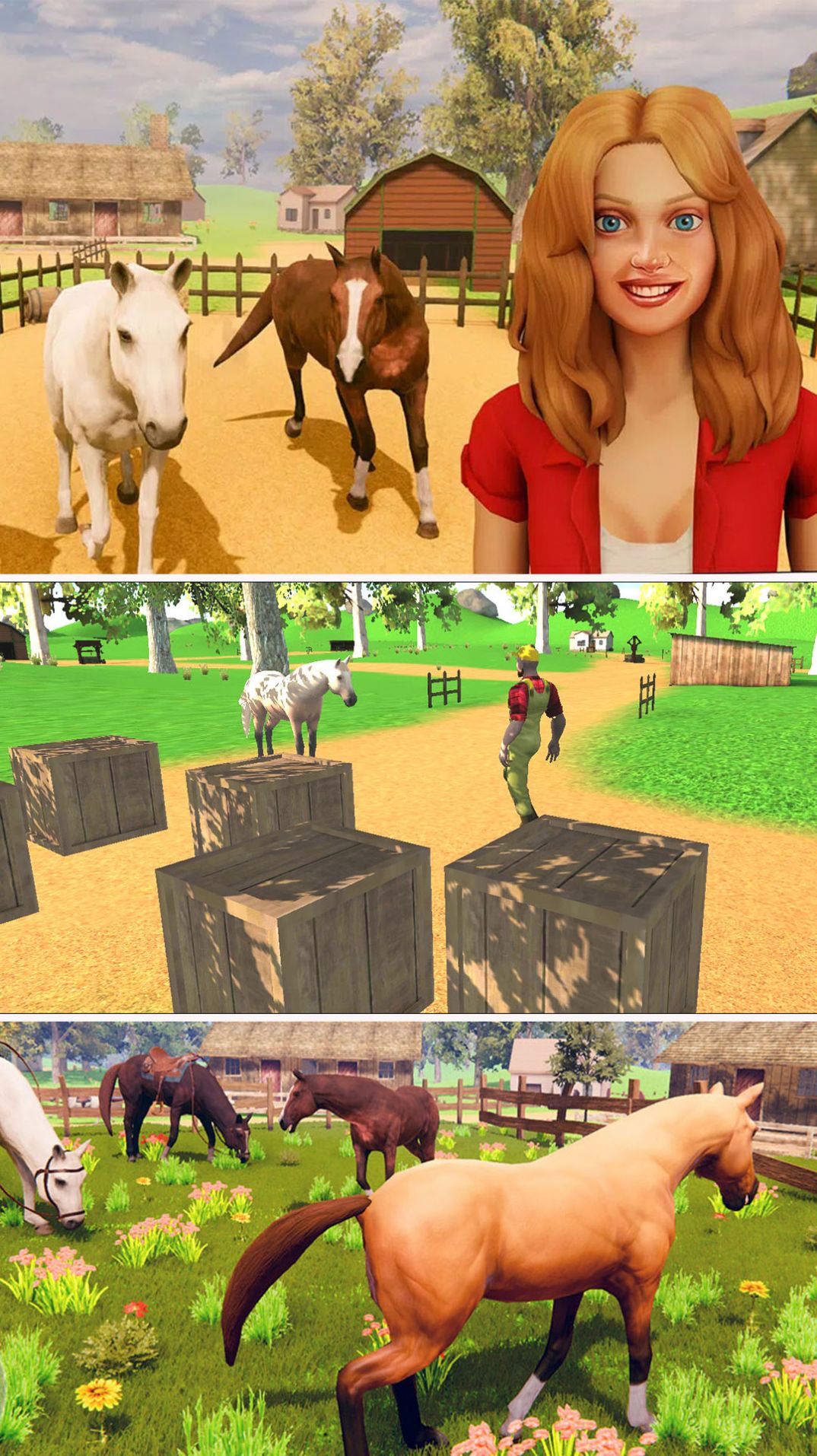 真实马术师模拟v1.0.01