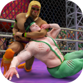 笼中摔跤比赛v1.0.4
