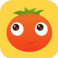小番茄交友v1.0