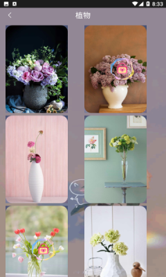 元气可爱壁纸v1.0