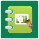 动感相册影集v8.0