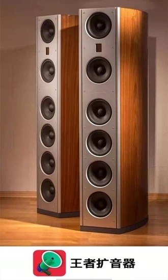 王者扩音器v1.0.1