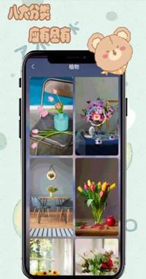 元气小熊壁纸v1.0