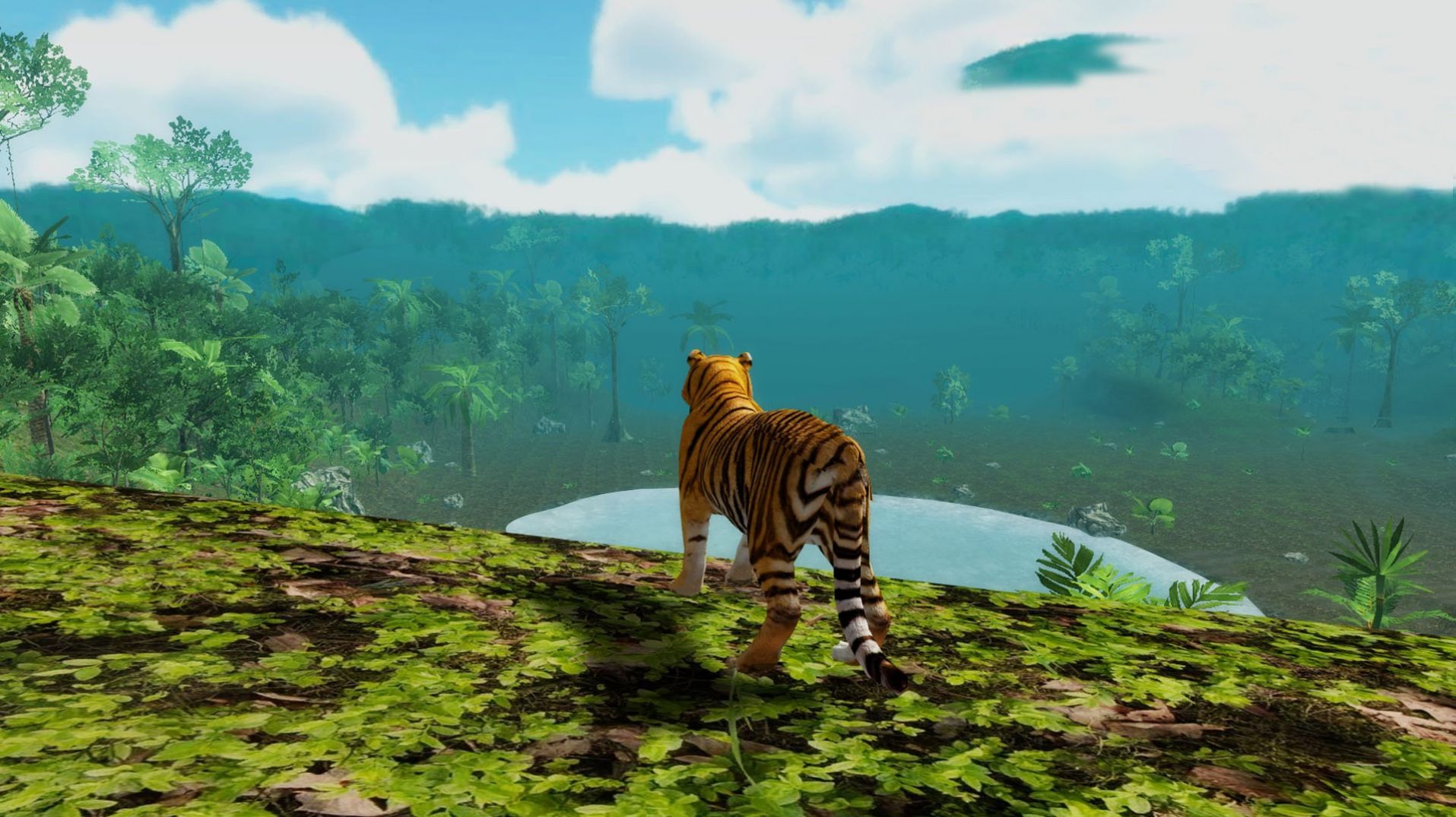 老虎森林捕猎v1.0