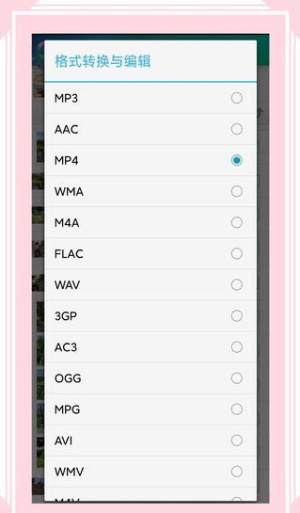 VideoAudioConverterv6.1.7