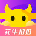 花牛拍拍v1.0
