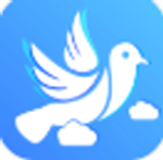 鸽品汇v1.0.1