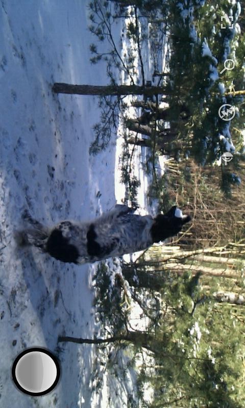 快速连拍相机v8.0.8