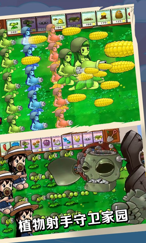 植物就爱打僵尸v1.0
