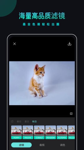 PicsDazz修图水印v1.0