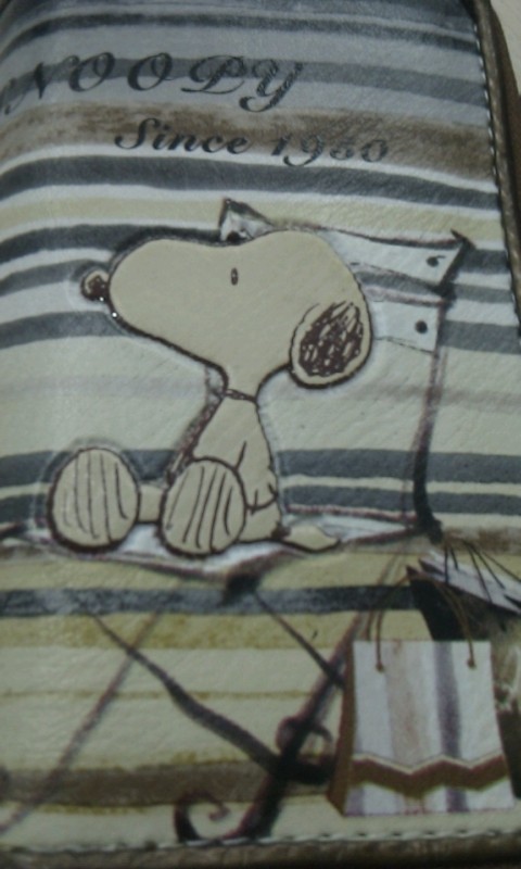 快速连拍相机v8.0.8