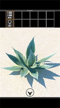 海上荒岛逃生v1.30