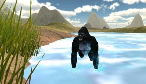 大猩猩横冲直撞v1.2