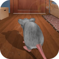 疯狂老鼠王v1.0
