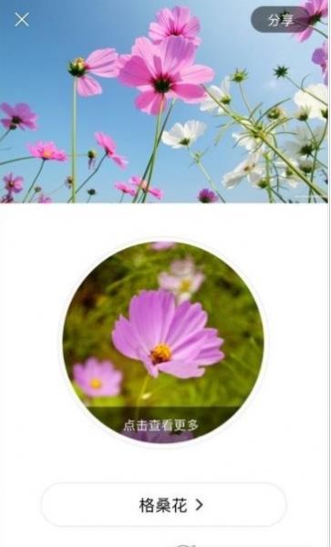 识花大师v1.2.7