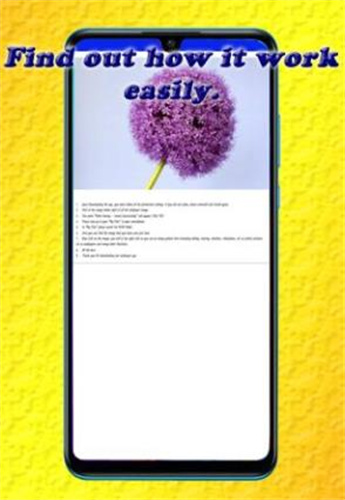 甜美壁纸和背景v1.1