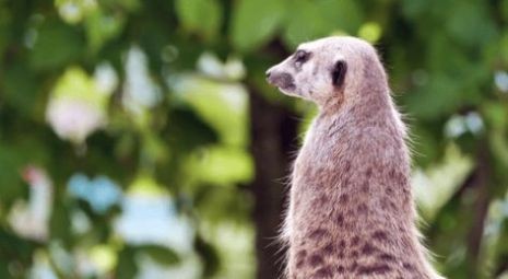 当贝屏保v2.1.7.5.1